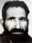 ناصر پیروز