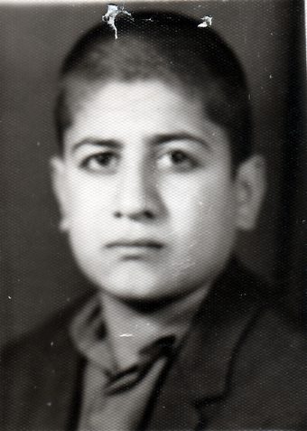 محمدجواد عزلت