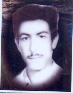 مسعود فاضلی داویجانی