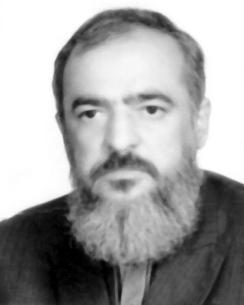 داود حمیدزاده نمینی
