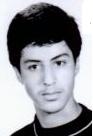 حسین امینی