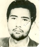 داریوش اله یاری لویه