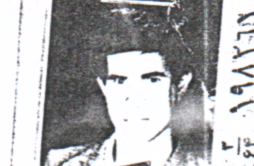 علی محمدی فلاورجانی