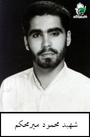 محمود میرمحکم