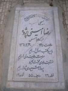 رضا امینی