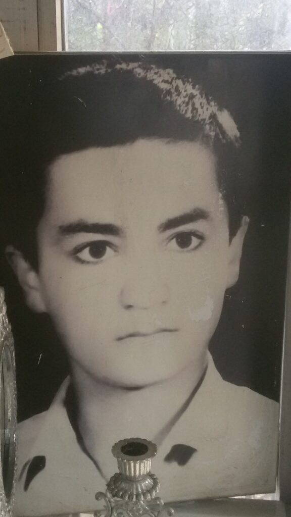 حامد محمدی اراکی