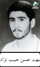 حسن حبیب نژاد