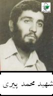 محمد پیری
