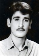 محمدرضا آزادان