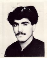 محمدرضا امیری