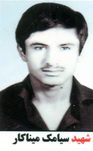سیامک میناکار