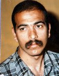 محمود سلیمانیان
