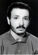 محمود ایل خان