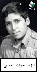 مهدی حبیبی