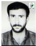 علی لطفی حقگوی