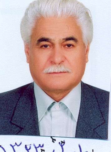 محمدرسول امینی