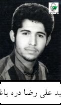 علی رضا دره باغی