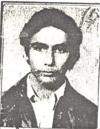 سعید حمیدی
