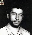 محمود شاه محمدی