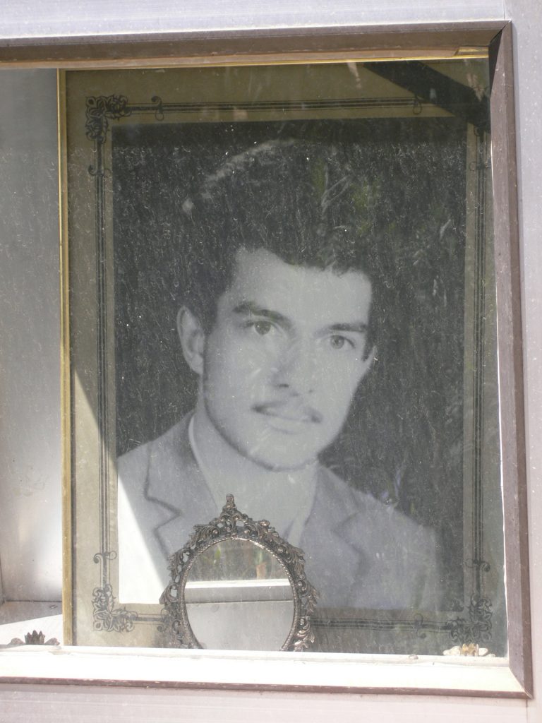 محمد محمودی