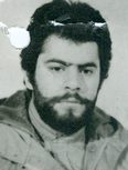 فرید صنیعی پور