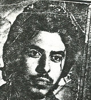 سیدحسین میری