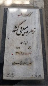 زهره مبینی کشه