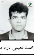 محمد نعیمی دره مرادی