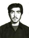 سیدحسن نیرویی