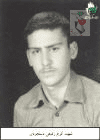 کریم رفیعی دستجردی