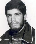 حمید گودرزی
