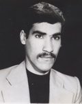 داود محمدی شاملو