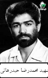 محمدرضا حیدرهائی