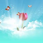 شهیده فریده آقابابایی