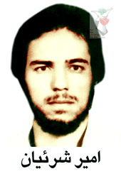 امیر شرعیان