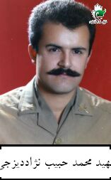 محمد حبیب نژاددیزجی