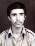 داریوش محبی