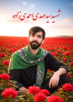 سید مهدی احمدی زاده
