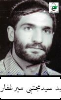 سیدمجتبی میرغفاری