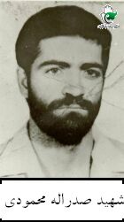 صدراله محمودی