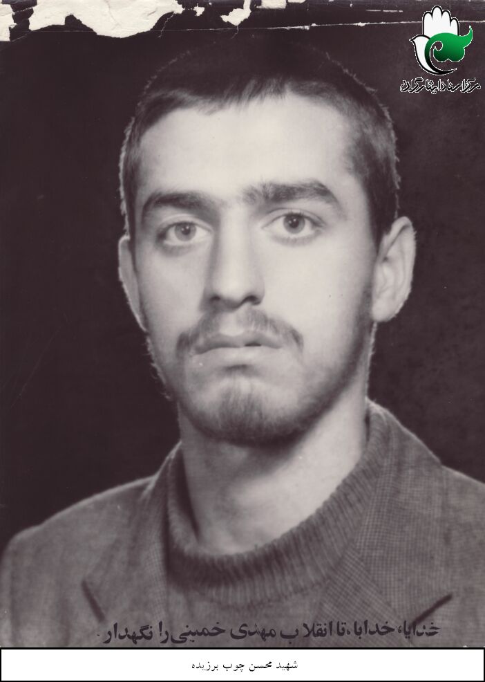 محسن چوب برزیده