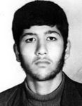 حمید عنایتی