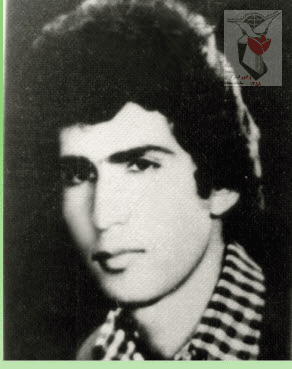 تیمور محمدی
