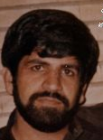 علی محمدی