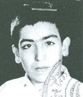 محمد مرتضوی