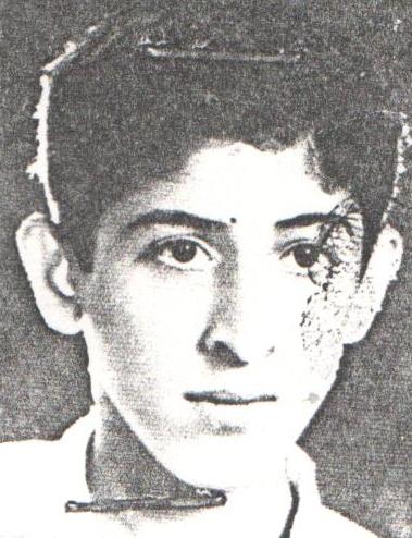 جواد ابوالحسنی نیارکی