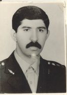 غلامرضا اصل داوطلب