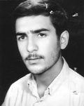 مسعود پرنیان