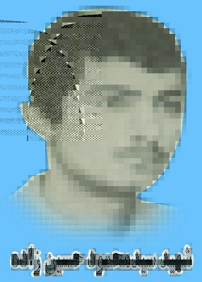 سیدمحمود حسین زاده