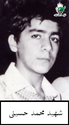 محمد حسینی